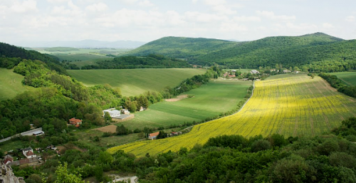 Prašník Prašník